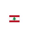 مصغرات