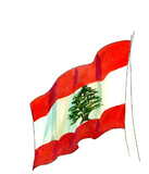 مصغرات