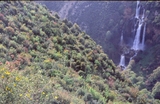 مصغرات